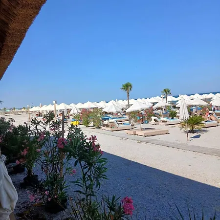 Platinium House Daire Mamaia